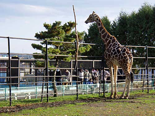 本日もありがとうございます