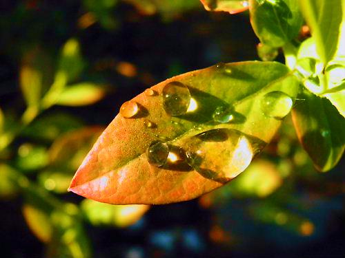 雨降って・・・