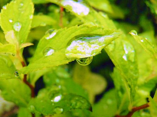 昨日に引き続き雨の一日