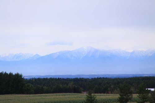 ナイタイ山に初冠雪