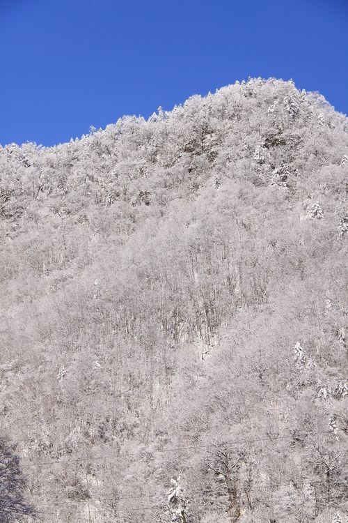 雪景色に一変