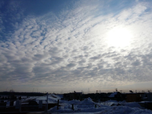 今朝の空