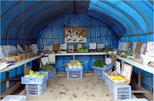 お気に入り野菜直売店