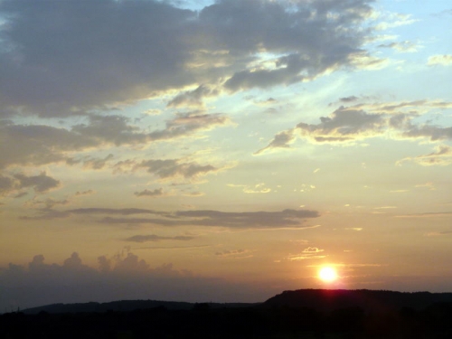 今日の夕日と亜麻の花