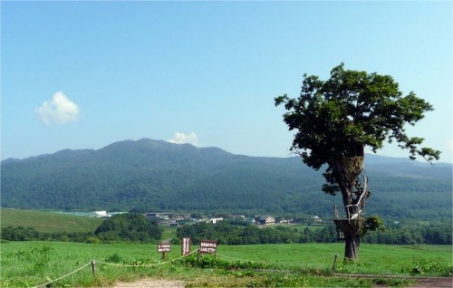 ナイタイ高原牧場