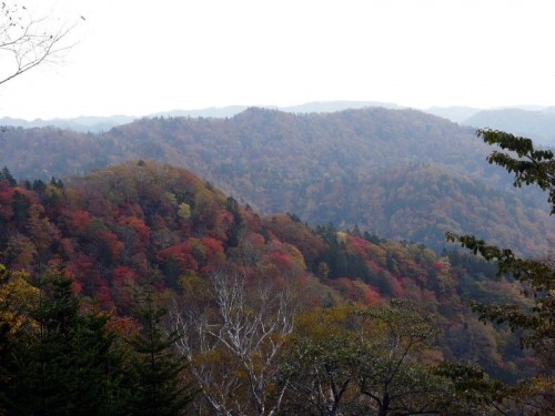 浦幌、山の林道から見る紅葉