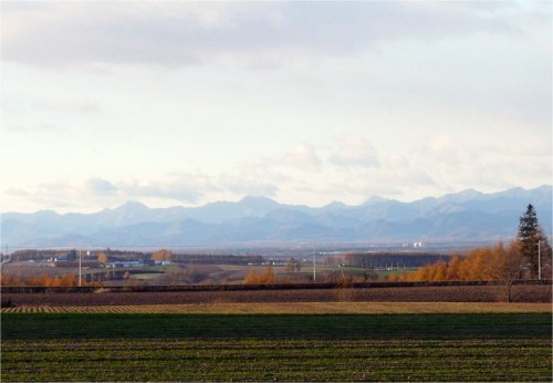 一週間くらいは通う、道中の風景