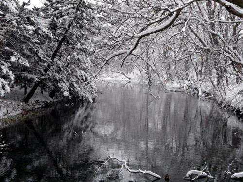 水公園の雪景色