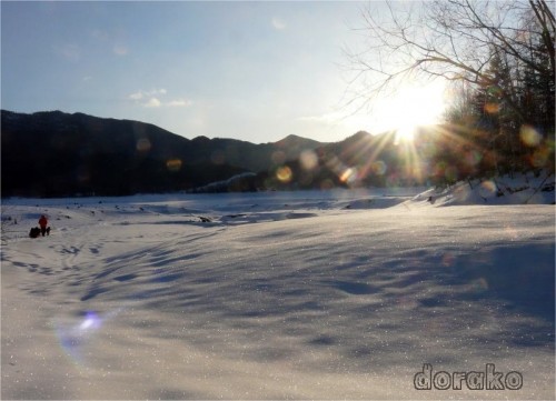 冬の糠平湖、光る雪