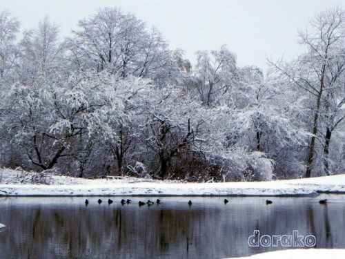 ４月も末に雪景色とは・・サクラはいつ咲くことやら　(/＿＜)