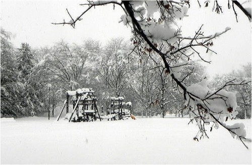 雪が湿っていて重いですね