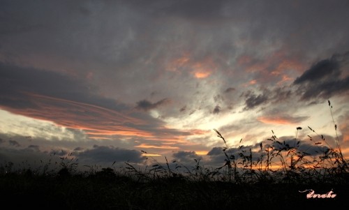 出遅れたけどきれいだった夕焼け