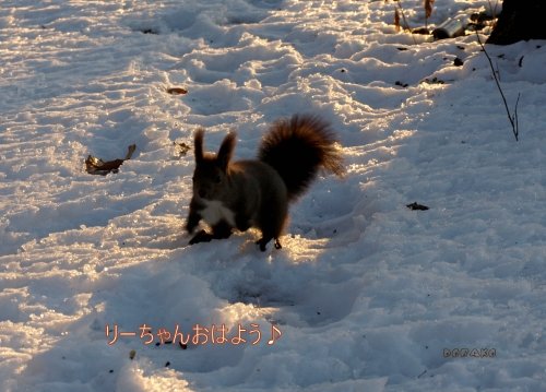 りーちゃん何もなくてごめんねm(_ _"m)ペコリ