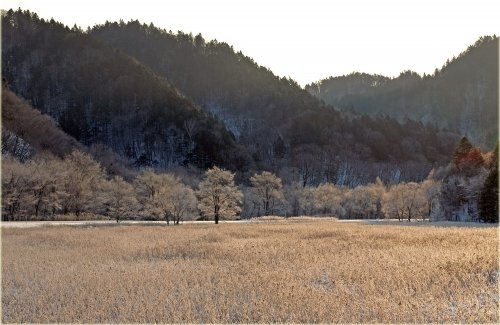 浦幌町、草原と山の霧氷