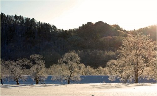 　音別町霧里の霧氷と雪景色