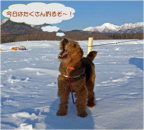 　糠平でワカサギ釣り　１６回目