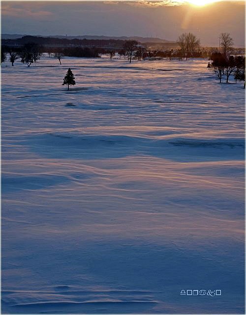 　雪と強風で春は後退、今朝の風雪紋