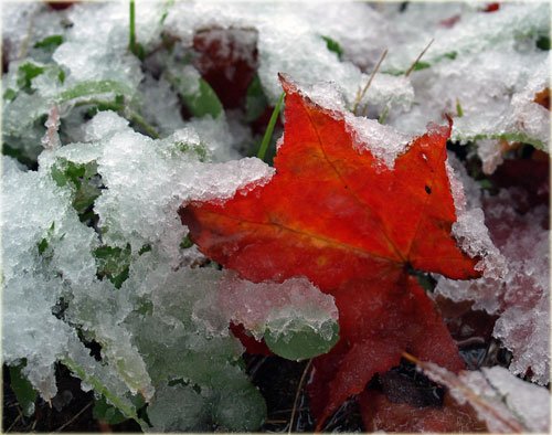 　１０月中旬で初雪とは早すぎですね