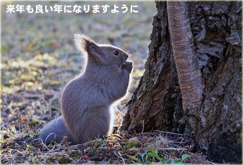 　りーちゃんの祈りとくしゃみ？