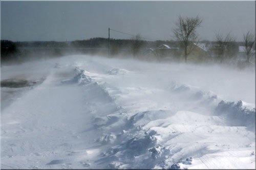 　朝から猛吹雪