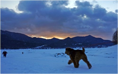 　糠平でワカサギ釣り９回目で撤収