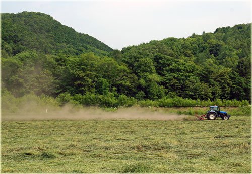 　牧草ロールが作られるまで