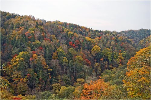 　紅葉の山撮影ラストチャンス