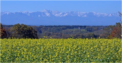 　ついに白くなった山