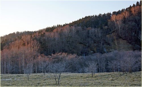 　山は見事な霧氷風景