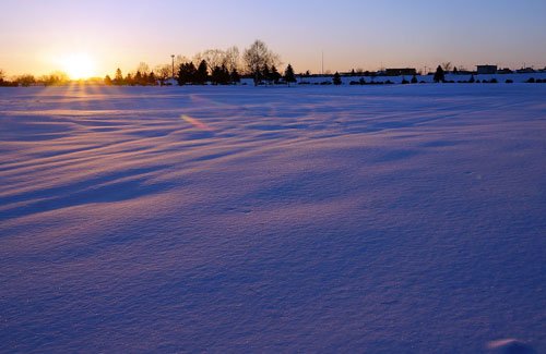 　朝日に染まる雪原