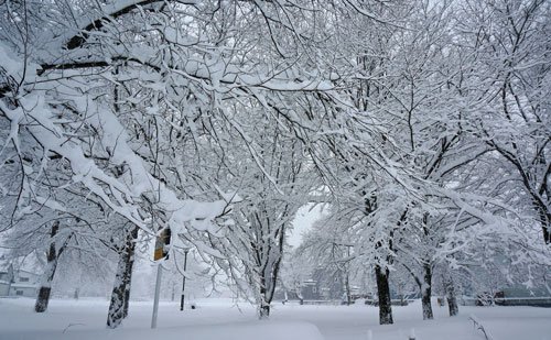 雪は止みそうだけど吹雪が心配