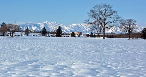 吹雪いても飛ばない雪とお薦めは・・