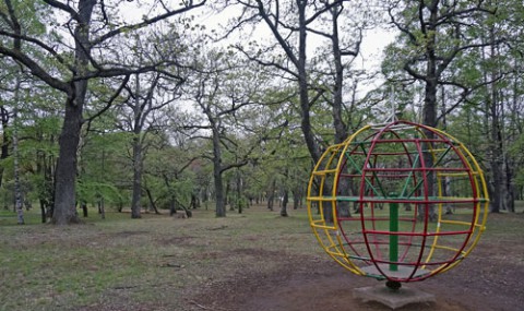 朝焼け写し損ねて新緑の公園へ