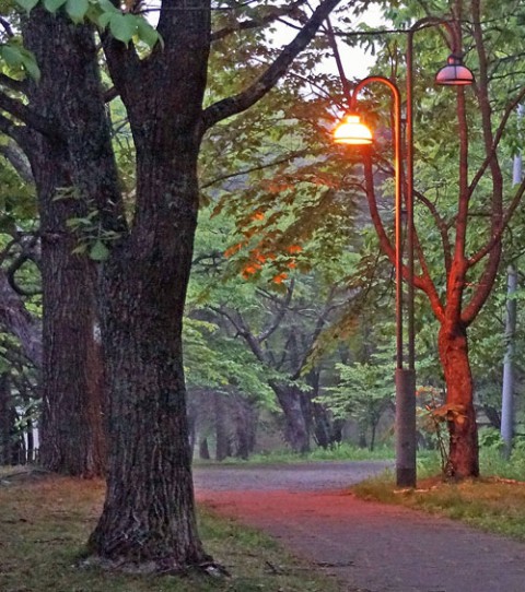 夜明けのすずらん公園