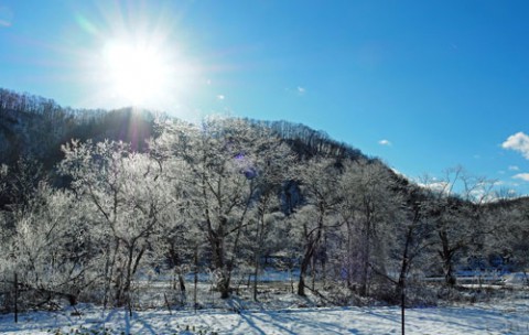 山は霧氷がきれいだった!!