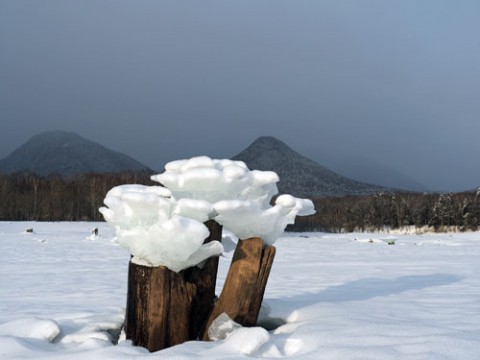 糠平でワカサギ釣り7回目