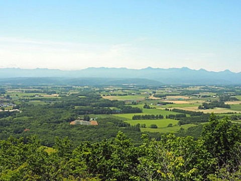 幕別町虫類の丸山展望台