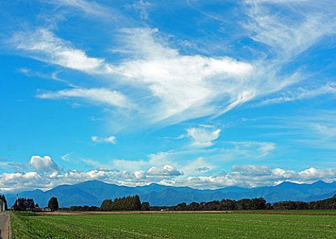 嬉しい青空