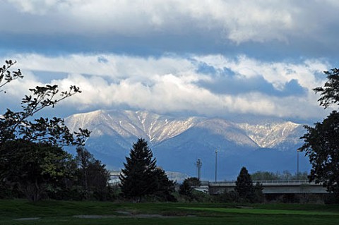 ついに白くなった山