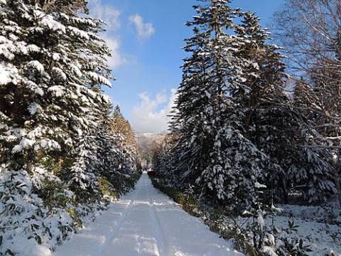 糠平の雪景色と今朝の十勝川