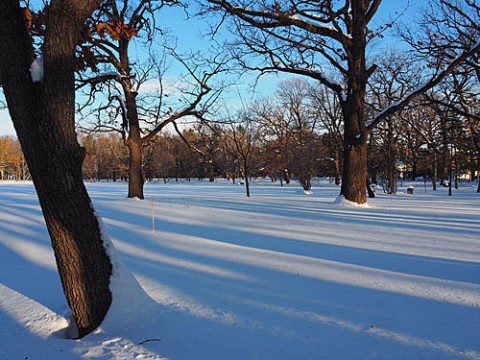 風が強かった朝のすずらん公園