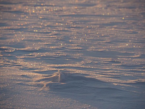 光る雪