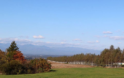 幕別町明倫・秋の風景