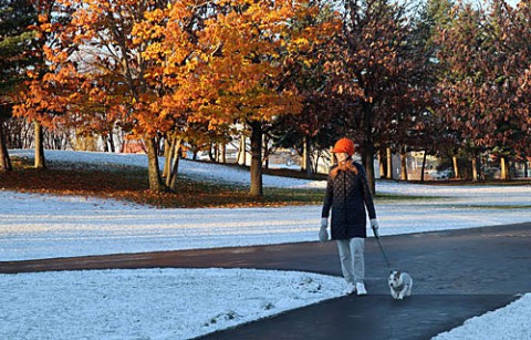 公園散歩&雪と落ち葉