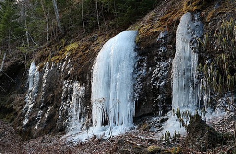 浦幌の山で氷の造形