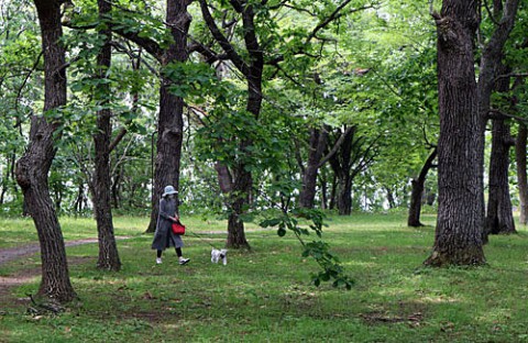 すずらん公園お散歩ワンちゃん