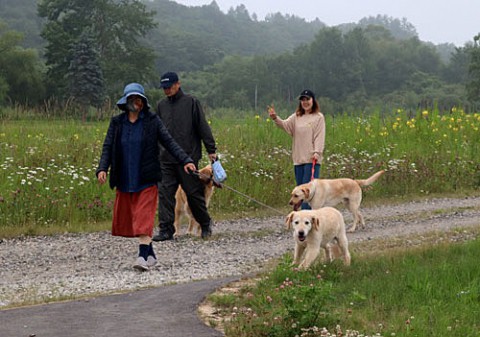 柳町の河川敷で散歩