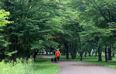 すずらん公園散歩