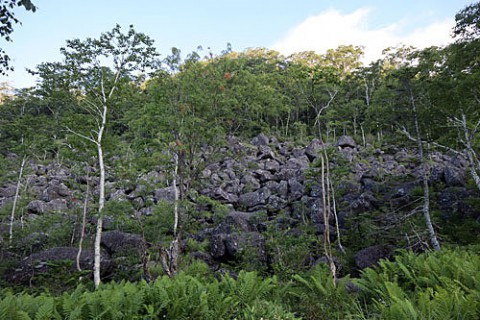 千畳くずれ岩塊斜面