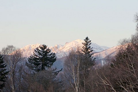 十勝三股は霧氷風景